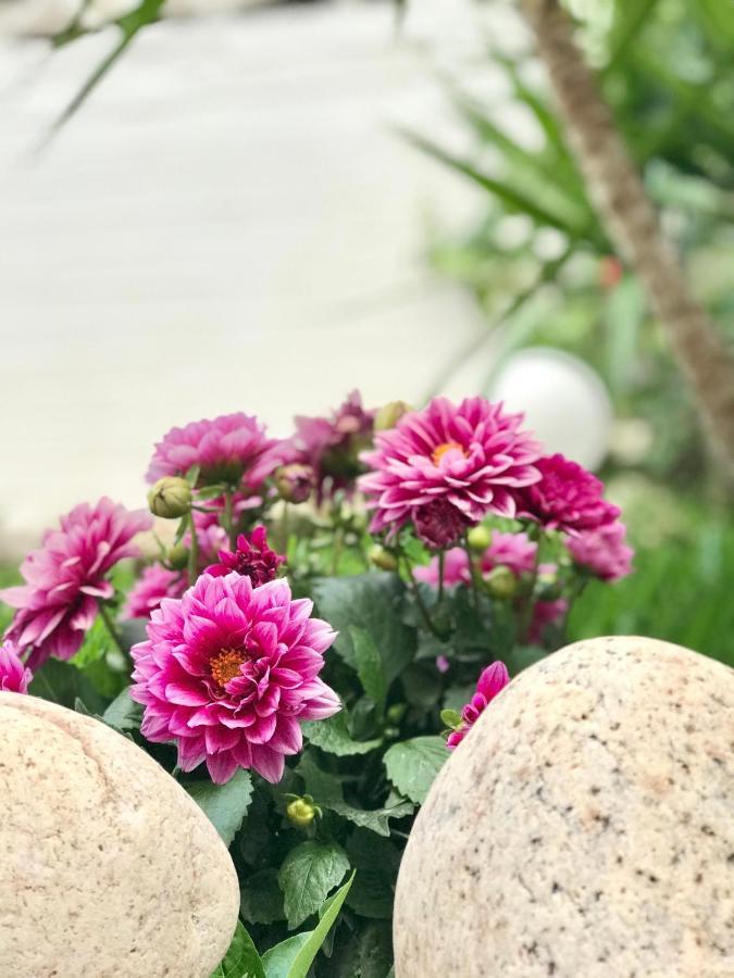Hotel Pighi Kriopigi Dış mekan fotoğraf