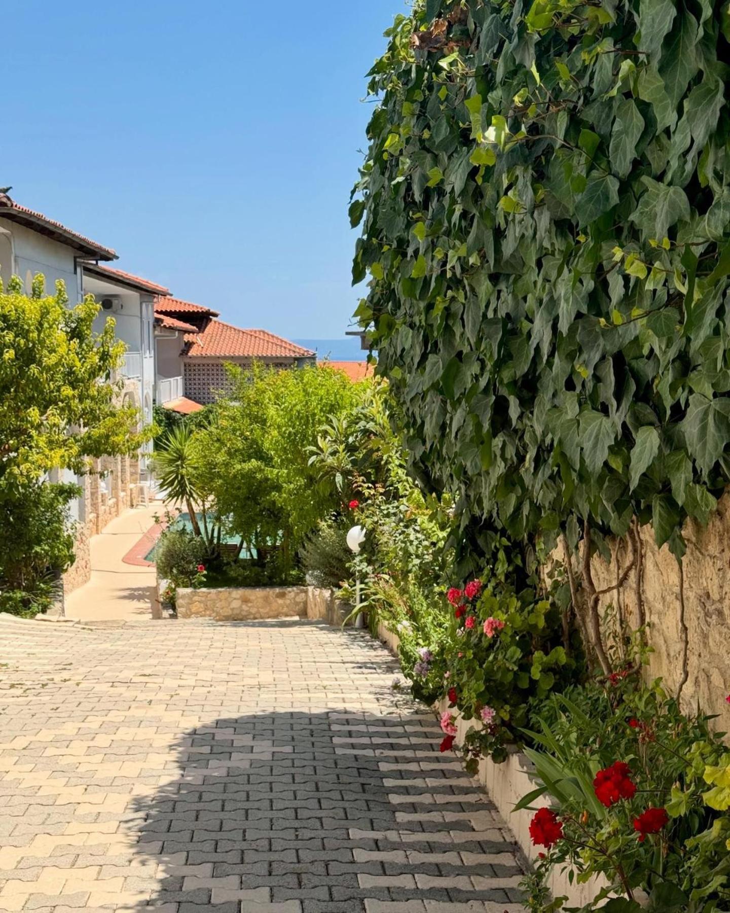 Hotel Pighi Kriopigi Dış mekan fotoğraf