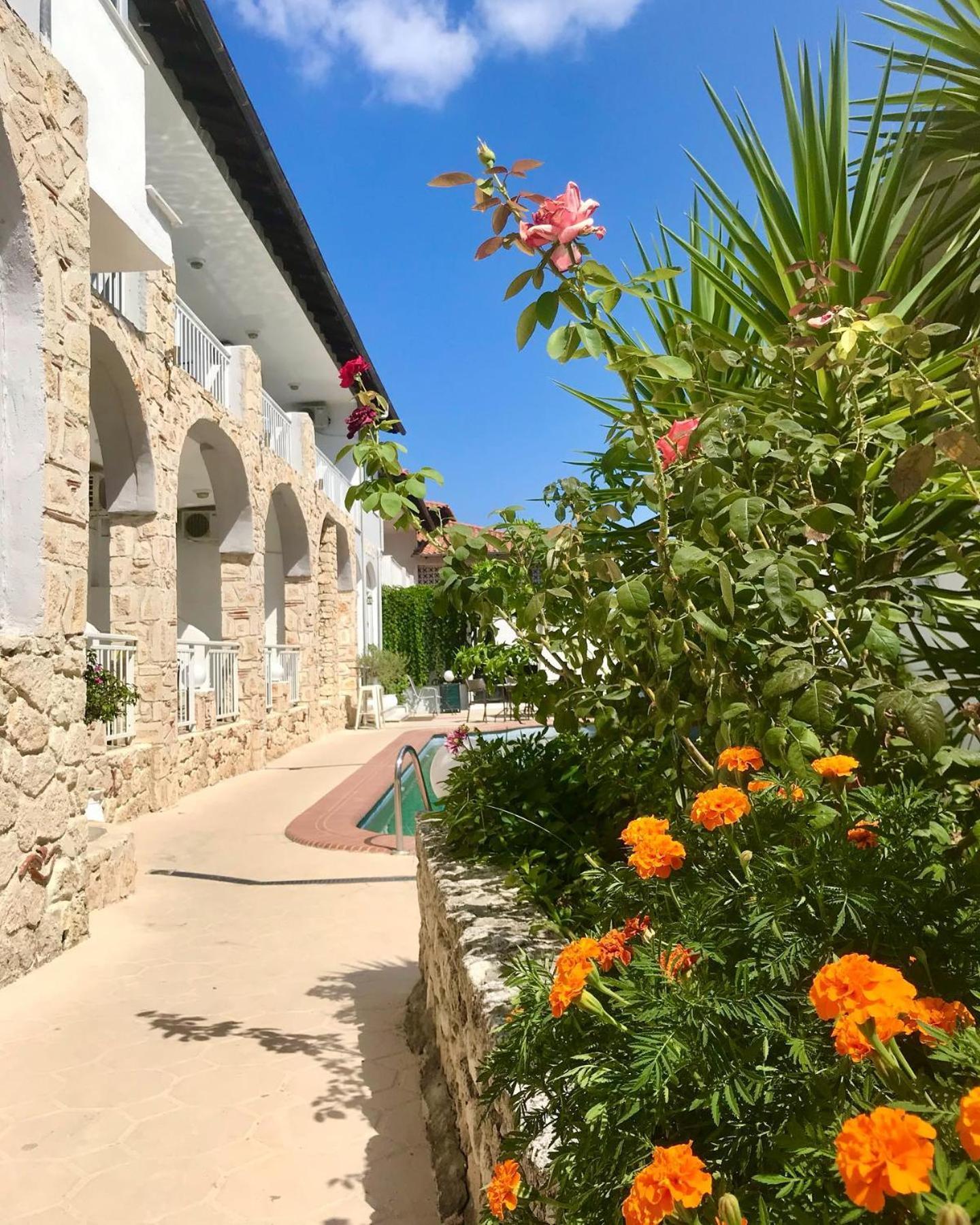 Hotel Pighi Kriopigi Dış mekan fotoğraf