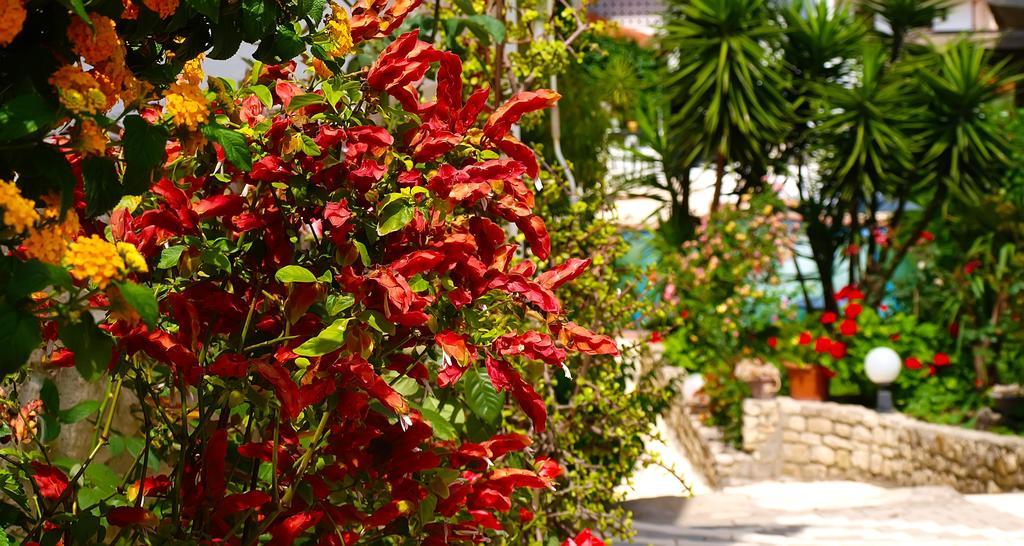 Hotel Pighi Kriopigi Dış mekan fotoğraf