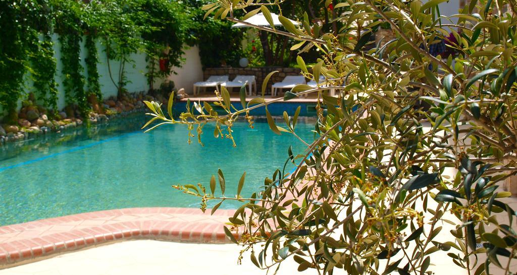 Hotel Pighi Kriopigi Dış mekan fotoğraf